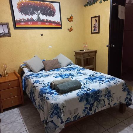 Casa Camilo - Cozy, Beautiful And Nice Separe Room Альенде Экстерьер фото